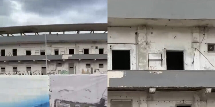 Cagliari, strage di rondini all’ex ospedale Marino: “Se confermata si tratta di un disastro annunciato”