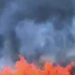 Arrestato a Villasor mentre appicca un incendio in un campo di grano, gli agricoltori ringraziano: “Finalmente possiamo tirare un sospiro di sollievo”