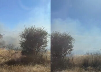 Decimoputzu, uomini e donne tentano di spegnere il rogo che minaccia l’ippodromo: fiamme alte a due passi dai cavalli (VIDEO)