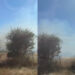 Decimoputzu, uomini e donne tentano di spegnere il rogo che minaccia l’ippodromo: fiamme alte a due passi dai cavalli (VIDEO)