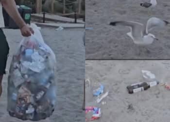 Poetto preso d’assalto dai vandali: le immagini shock del triste bottino raccolto alle 9 di sera (VIDEO)