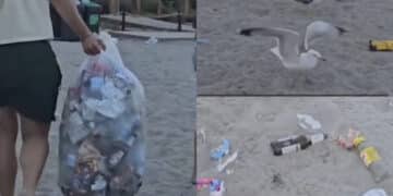 Poetto preso d’assalto dai vandali: le immagini shock del triste bottino raccolto alle 9 di sera (VIDEO)
