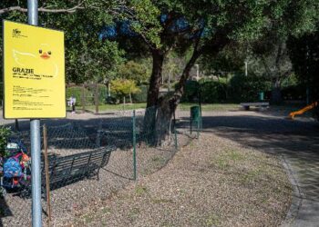 Cagliari: “Area cani di Monte Urpinu da tre giorni senza acqua, una vergogna”