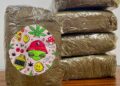 Operazione antidroga a Cagliari, arrestati due uomini con mezzo chilo di hashish