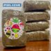 Operazione antidroga a Cagliari, arrestati due uomini con mezzo chilo di hashish
