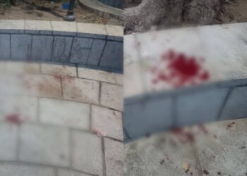 Cagliari, pestaggio in piazza Sant’Eulalia: tutti contro tutti e nel mentre il parroco tentava di celebrare la messa