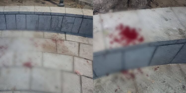 Cagliari, pestaggio in piazza Sant’Eulalia: tutti contro tutti e nel mentre il parroco tentava di celebrare la messa