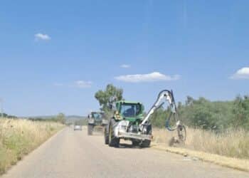 Manutenzione del verde e sicurezza stradale nei 70 comuni della Città Metropolitana di Cagliari: al via i lavori
