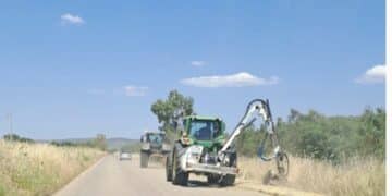 Manutenzione del verde e sicurezza stradale nei 70 comuni della Città Metropolitana di Cagliari: al via i lavori