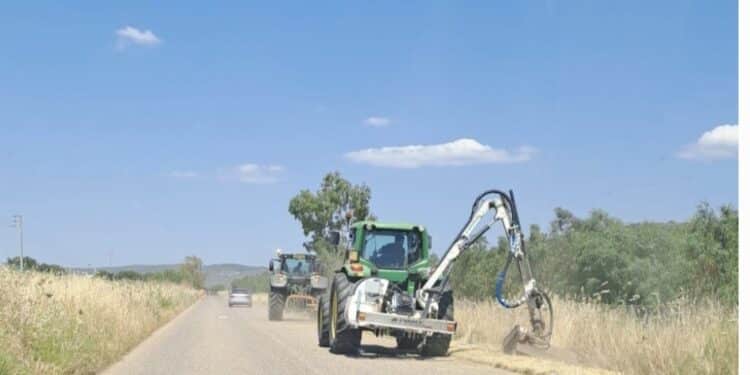 Manutenzione del verde e sicurezza stradale nei 70 comuni della Città Metropolitana di Cagliari: al via i lavori