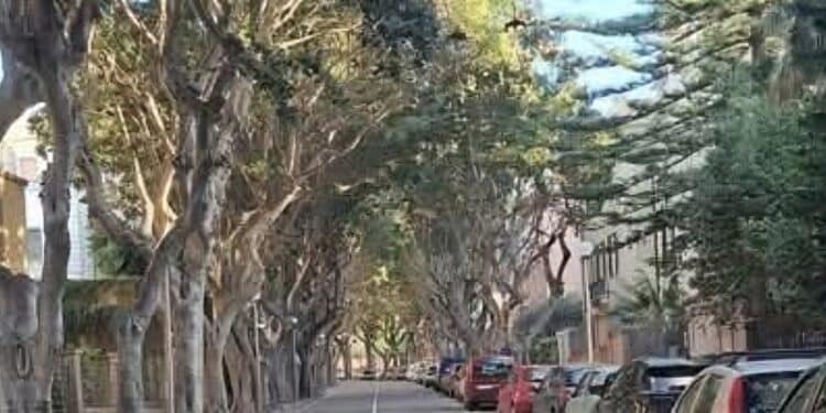 Cagliari, tutti in fila per contribuire al ricorso per fermare il progetto di Viale Merello