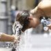 Ondata di caldo in arrivo con picchi sino a 40 gradi: da oggi sino a domenica, Sardegna sulla graticola