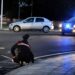 Burcei prega per il giovanissimo rimasto gravemente ferito nell’incidente: “Forza Pulli”