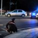 Grave incidente stradale a Burcei: scontro tra auto e moto, un minorenne cagliaritano in pericolo di vita