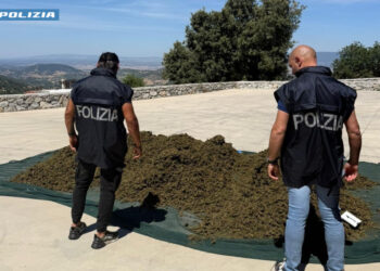 31enne in manette a Sarule, la polizia sequestra 700 kg di droga