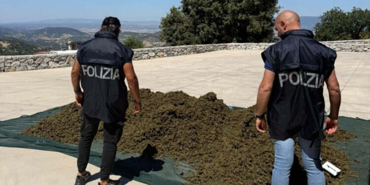 31enne in manette a Sarule, la polizia sequestra 700 kg di droga
