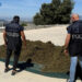 31enne in manette a Sarule, la polizia sequestra 700 kg di droga