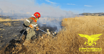Incendi in Sardegna, la Forestale intensifica i servizi di prevenzione: “Condotte imprudenti, imperizia e scarsa manutenzione tra le principali cause”
