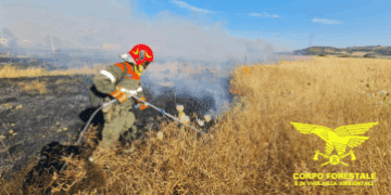 Incendi in Sardegna, la Forestale intensifica i servizi di prevenzione: “Condotte imprudenti, imperizia e scarsa manutenzione tra le principali cause”