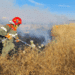 Incendi in Sardegna, la Forestale intensifica i servizi di prevenzione: “Condotte imprudenti, imperizia e scarsa manutenzione tra le principali cause”