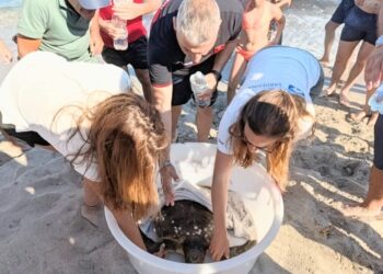 Tartaruga marina ferita “chiede” soccorso ai Carabinieri: il bellissimo salvataggio in spiaggia a Quartu