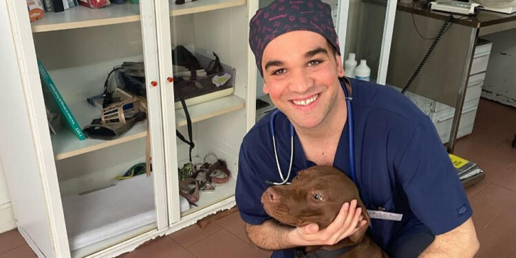 Radio Zampetta Sarda: il vet Gianmarco Piano ci parla di insufficienza renale nel cane e nel gatto