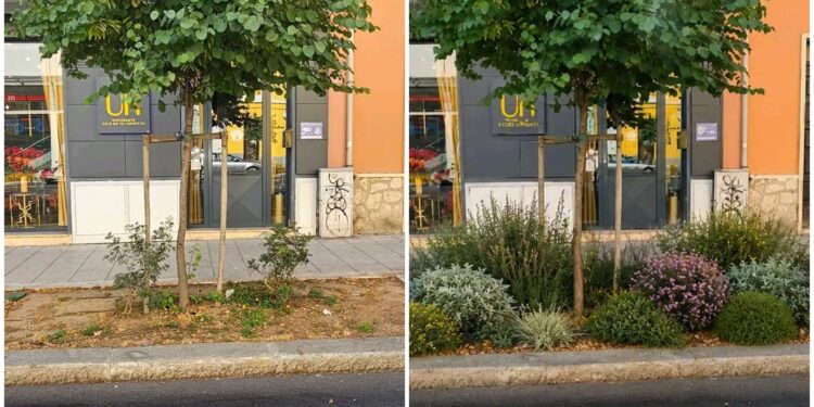  Via Dante, la protesta di una ristoratrice: “Ci hanno tolto i tavolini, ora lasciateci almeno curare l’aiuola”