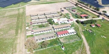 Carbonia, parco fotovoltaico a fianco al canile: “Le lavorazioni sono state pianificate ed eseguite con modalità tali da minimizzare l’impatto”