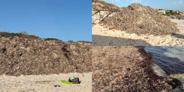 Poetto denigrato per la Posidonia ma da Santa Teresa Gallura c’è chi invidia la spiaggia dei centomila