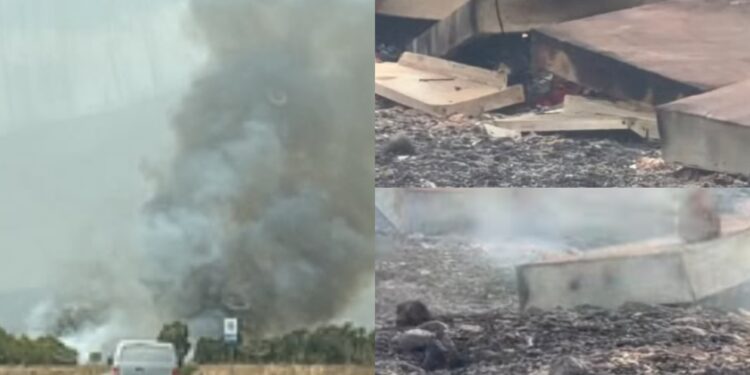 Villacidro, il fuoco assassino distrugge oltre un milioni di api: l’incendio non arretra