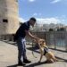 Oristano, la Polizia saluta il cane antiesplosivo Aaron: “Il suo ricordo resterà vivo tra i colleghi”
