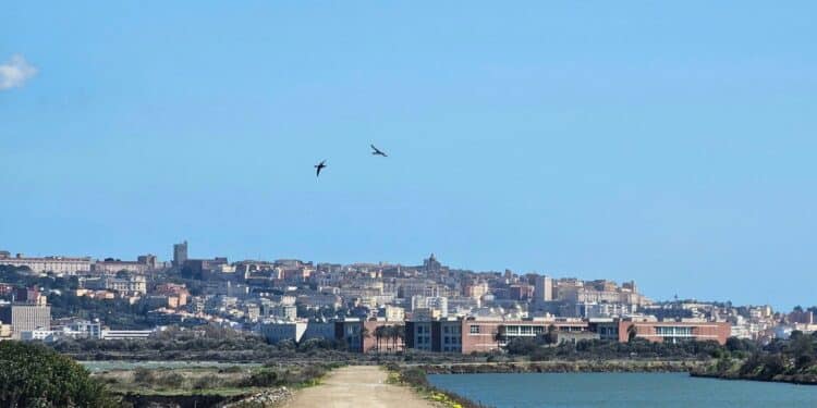 Cagliari, a Santa Gilla moria di cozze: dopo il ciclone Harry ci ha pensato il gran caldo, “le portiamo tutte in Regione”