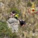 5 giovani turisti si perdono a Golfo Aranci: soccorsi dai vigili del fuoco
