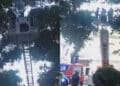 Pirri, pappagallino incastrato in una  rete salvato dai vigili del fuoco