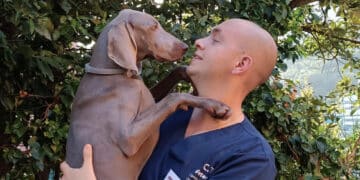 Radio Zampetta Sarda, il veterinario Davide Isolato ci parla della rottura del crociato nel cane