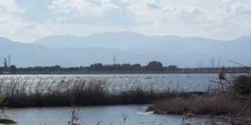 Cagliari, il Consiglio approva documento di intenti e governance per il Contratto di Laguna, Mura:”Protagonisti i pescatori”