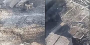 750 mila api uccise dall’incendio tra Selargius e Monserrato: tutto è stato raso al suolo