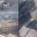 750 mila api uccise dall’incendio tra Selargius e Monserrato: tutto è stato raso al suolo
