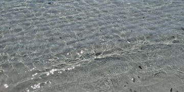 “Il Mediterraneo non è in vendita”: dalle Baleari alla Sardegna le comunità difendono il paesaggio e il proprio futuro