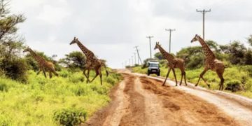 Incidente stradale in Kenya, morta una turista italiana