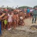 Tortolì, la tartaruga ferita e guarita torna a nuotare nel suo mare