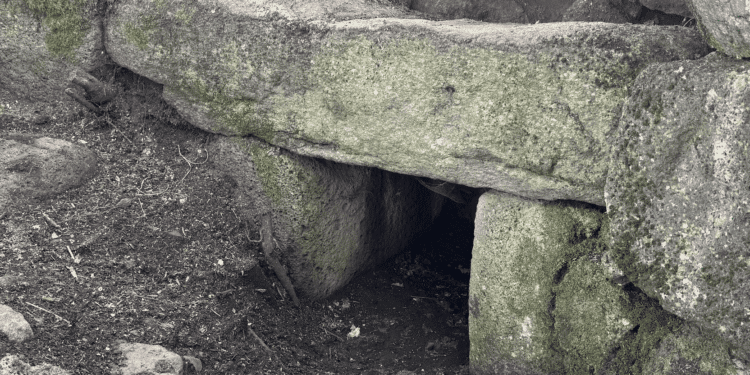Bortigali, scoperta una Tomba dei Giganti nell’area archeologica di Carrarzu Iddia