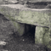 Bortigali, scoperta una Tomba dei Giganti nell’area archeologica di Carrarzu Iddia