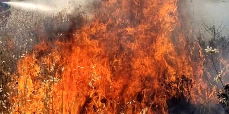 Dodici intossicati dal fumo dello spaventoso incendio di due giorni fa tra Elmas e Assemini