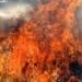 Dodici intossicati dal fumo dello spaventoso incendio di due giorni fa tra Elmas e Assemini