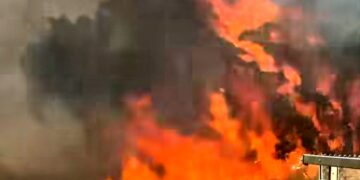Inferno di fuoco tra Samassi e Villacidro: statale chiusa, a rischio numerose aziende agropastorali