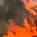 Inferno di fuoco tra Samassi e Villacidro: statale chiusa, a rischio numerose aziende agropastorali