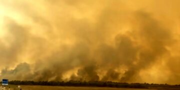La Sardegna brucia: “È difficile credere che tutto questo sia il frutto della sola autocombustione o della fatalità”