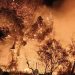 Capoterra, fiamme alte durante la notte in via Amendola: residenti in strada per spostare le auto