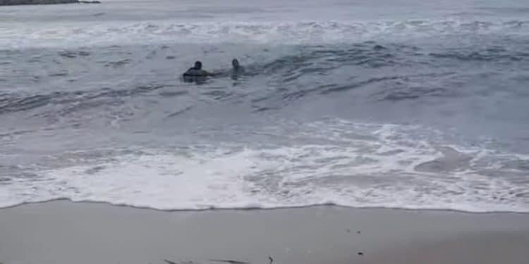 Paura a Porto Frailis, bagnante tra le onde salvato dal bagnino